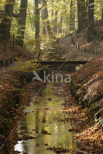 Nationaal Park Veluwezoom