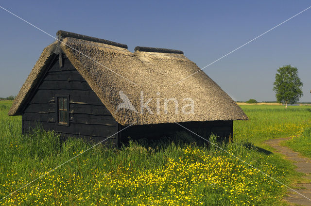 Nationaal Park Weerribben-Wieden