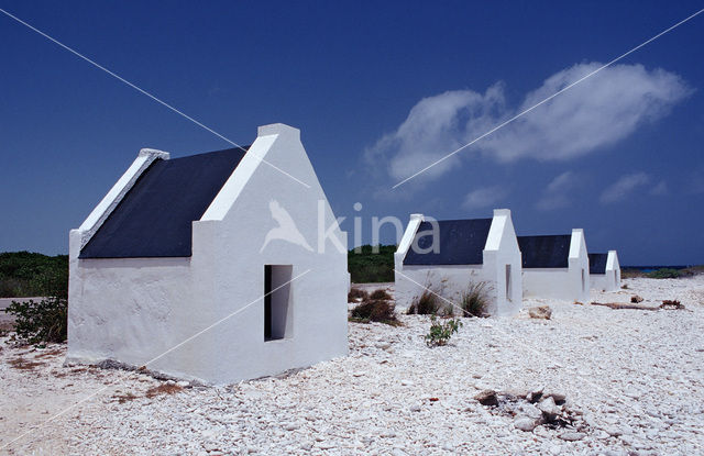 Slave huts