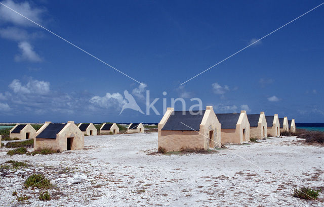 Slave huts