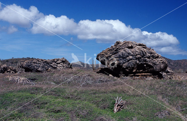 Washington Slagbaai National park