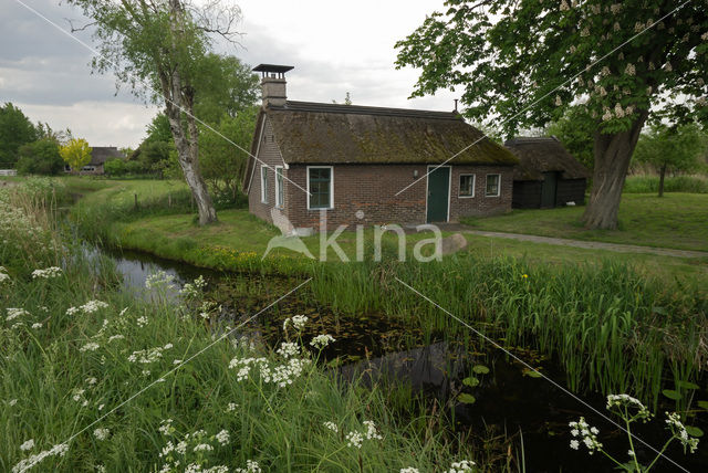 National Park Weerribben-Wieden