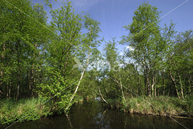 Nationaal Park Weerribben-Wieden