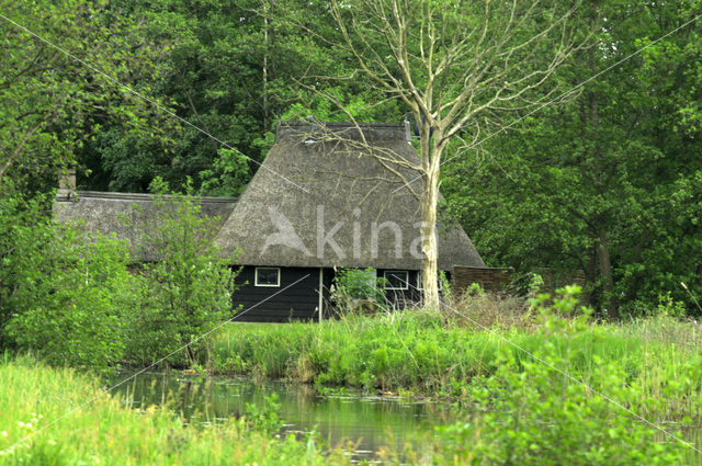 National Park Weerribben-Wieden