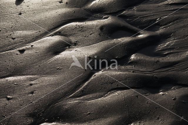 Waddenzee