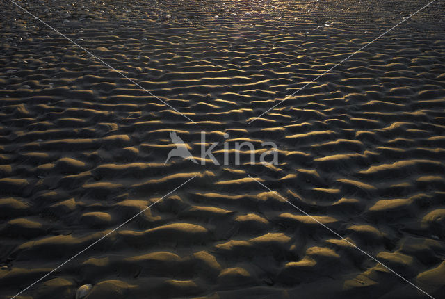 Waddenzee