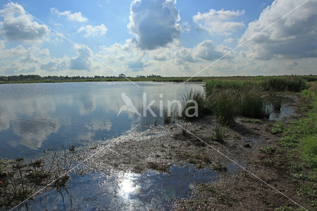 De Groene Jonker