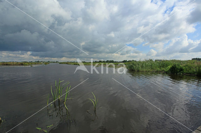 De Groene Jonker