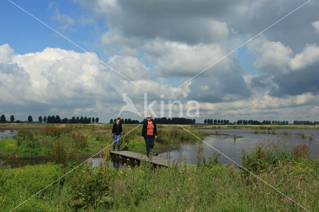 De Groene Jonker