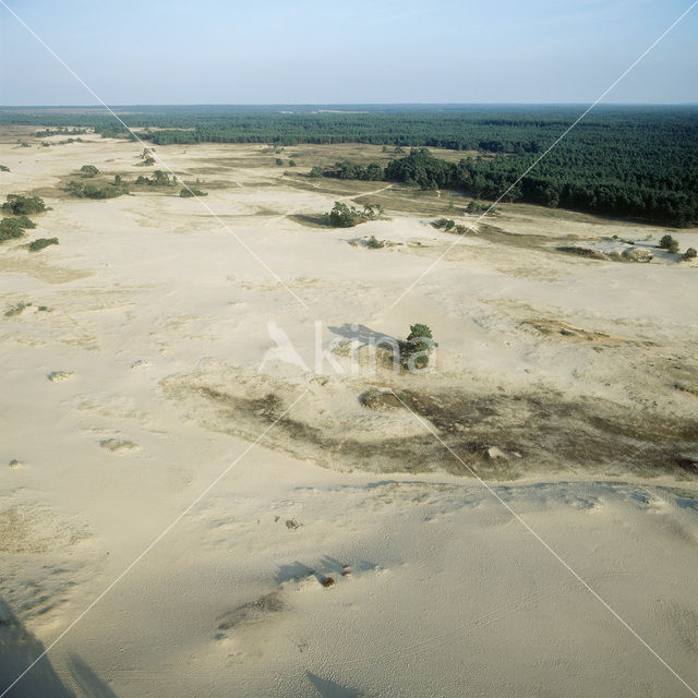 Kootwijkerzand