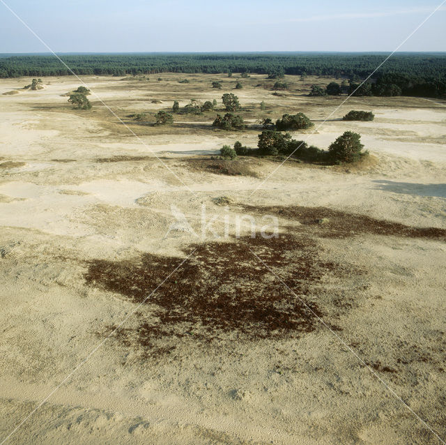 Kootwijkerzand