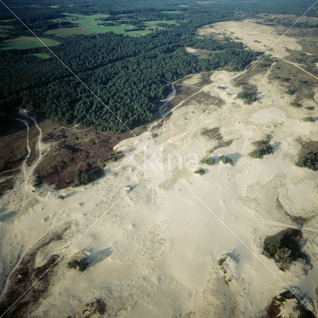 Kootwijkerzand