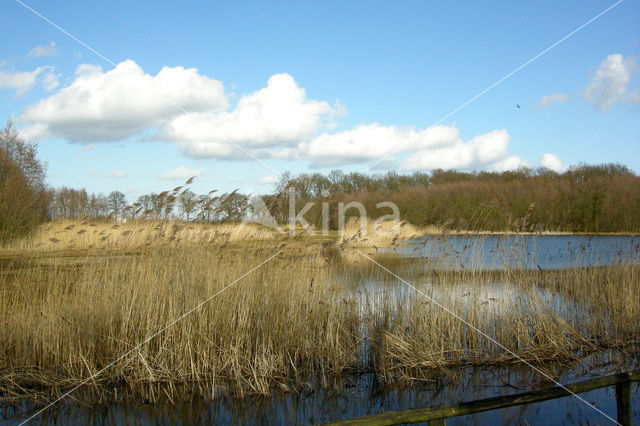 Landgoed Het Woudhuis