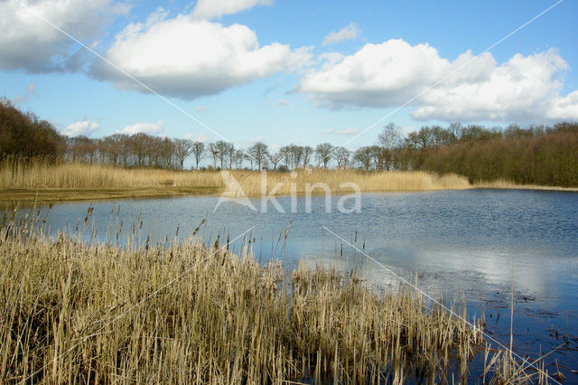 Landgoed Het Woudhuis