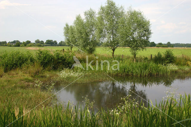 Landgoed Leusveld