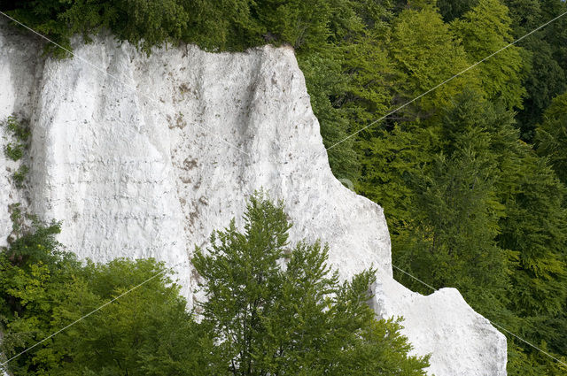 Nationalpark Jasmund