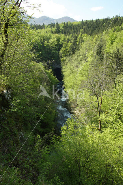 Natuurpark Rakov Skocjan