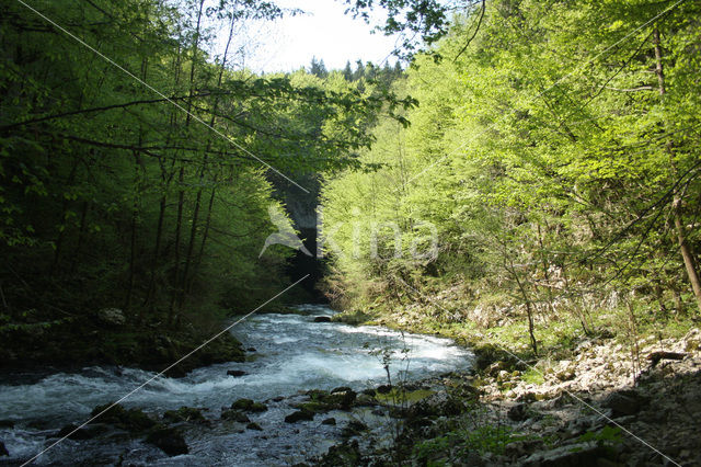 Natuurpark Rakov Skocjan