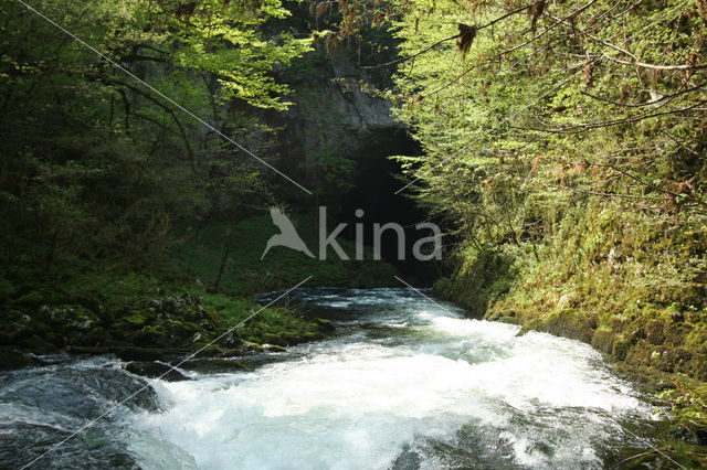 Natuurpark Rakov Skocjan