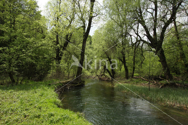 Natuurpark Rakov Skocjan