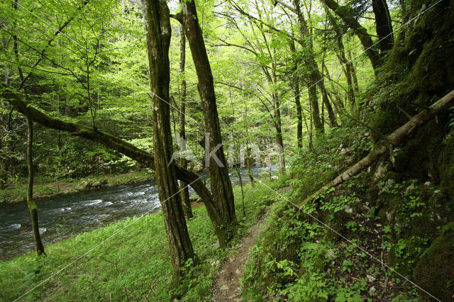 Natuurpark Rakov Skocjan