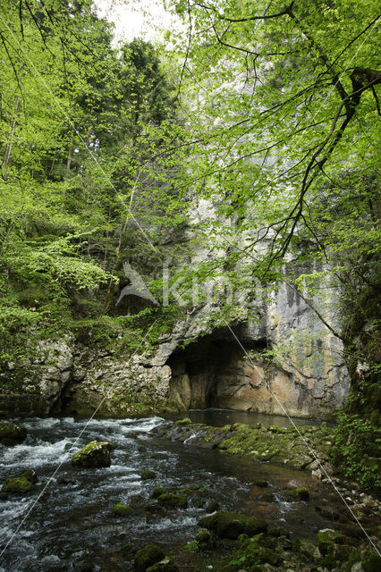 Natuurpark Rakov Skocjan