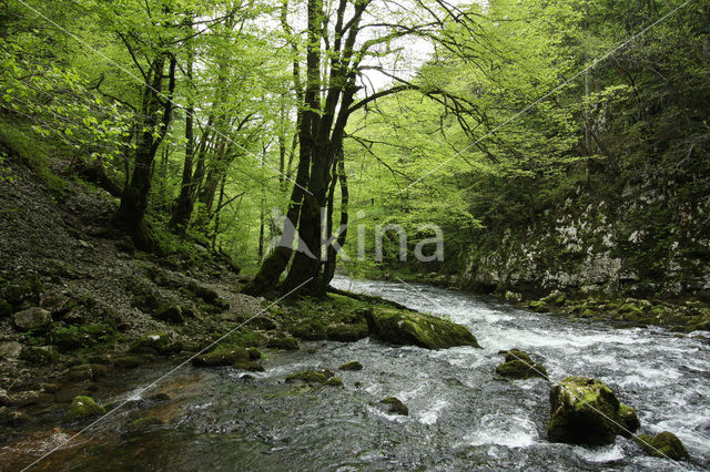 Natuurpark Rakov Skocjan