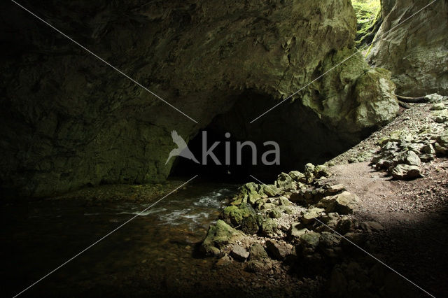 Natuurpark Rakov Skocjan