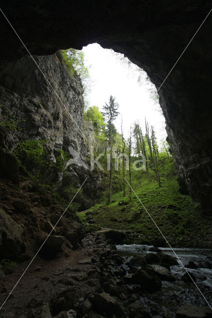 Natuurpark Rakov Skocjan