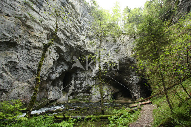 Natuurpark Rakov Skocjan