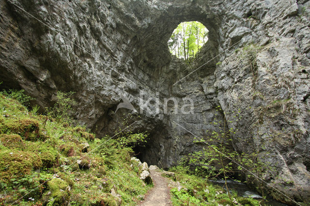 Natuurpark Rakov Skocjan