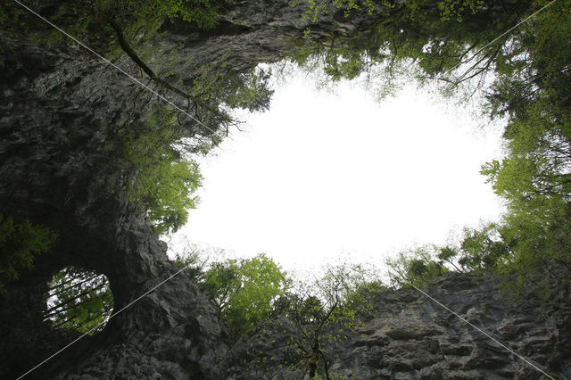 Natuurpark Rakov Skocjan