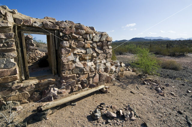 Organ Pipe Cactus National Monument