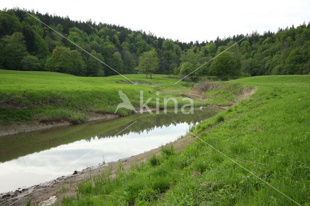 Planinsko Polje