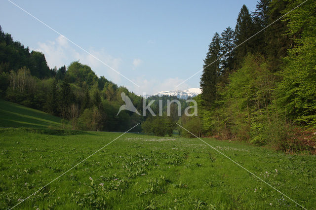 Triglav Nationaal Park