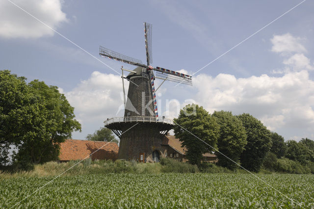 De Hompesche Molen