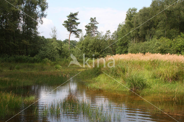 Empese en Tondense Heide