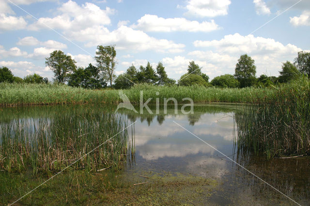 Empese en Tondense Heide