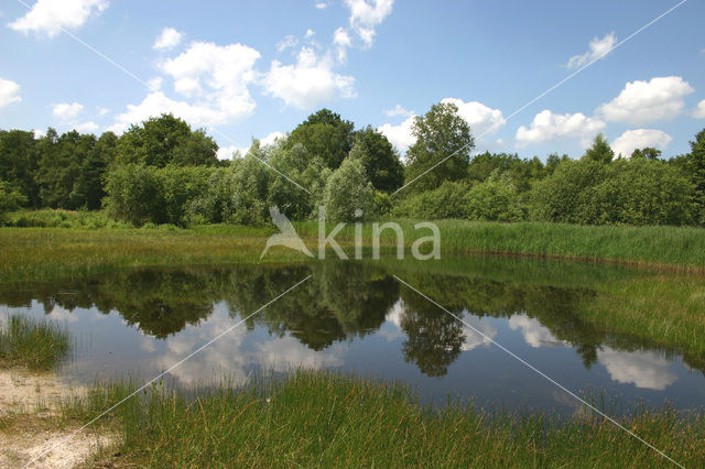 Empese en Tondense Heide