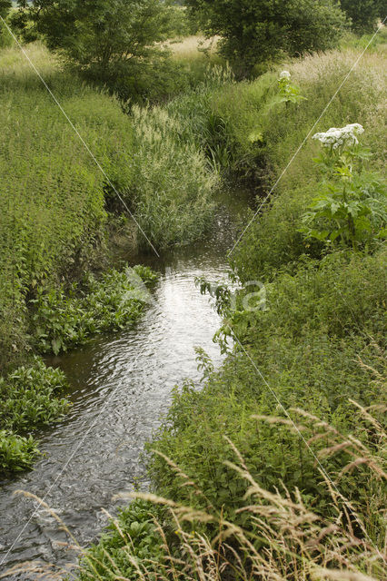 Geleenbeekdal