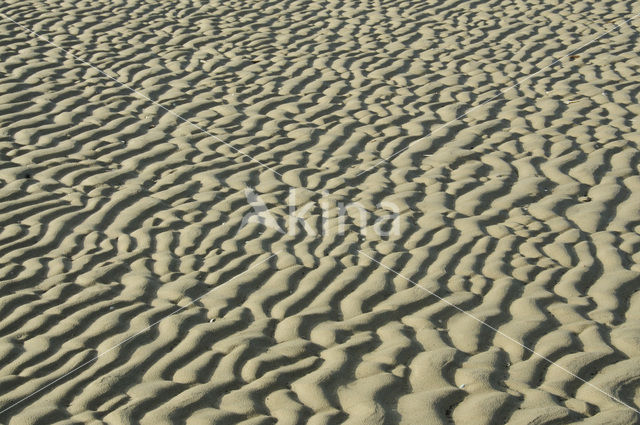 Nationaal Park Duinen van Texel