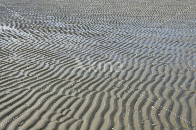 Nationaal Park Duinen van Texel