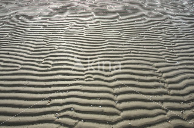 Nationaal Park Duinen van Texel