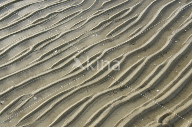 Nationaal Park Duinen van Texel