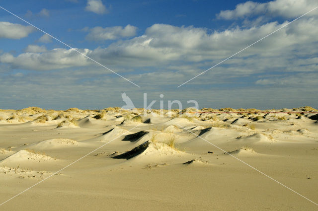 National Park Duinen van Texel