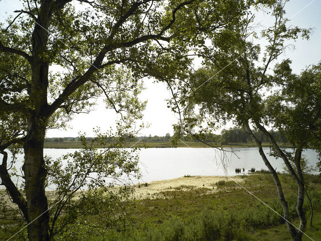 Nationaal Park Dwingelderveld