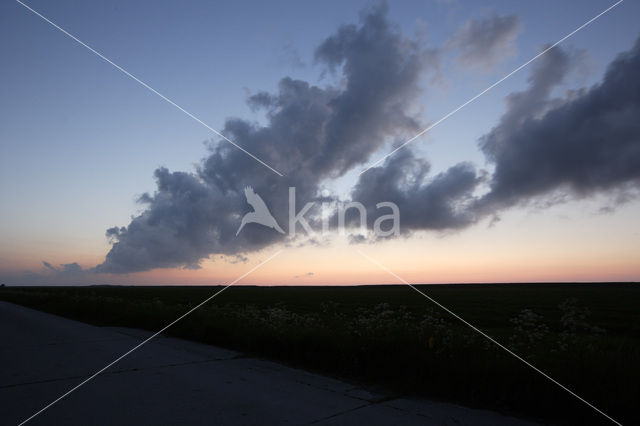 Noordpolder