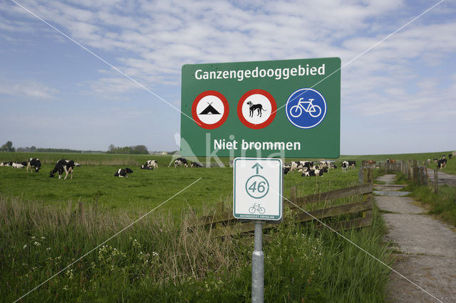 Polder van Oost- en Westdongeradeel