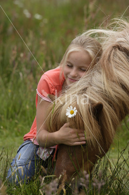 Pony (Equus spp)