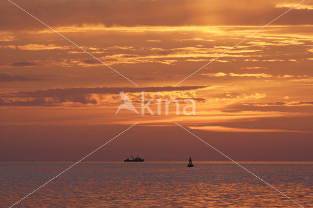 Waddenzee